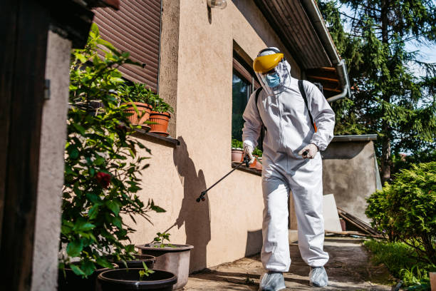 Best Pest Prevention Services  in Center Point, AL