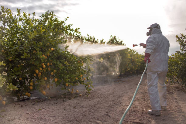 Best Cockroach Control Services  in Center Point, AL
