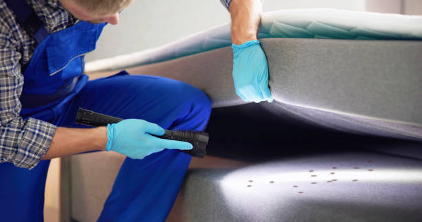 Best Wasp Removal Services  in Center Point, AL