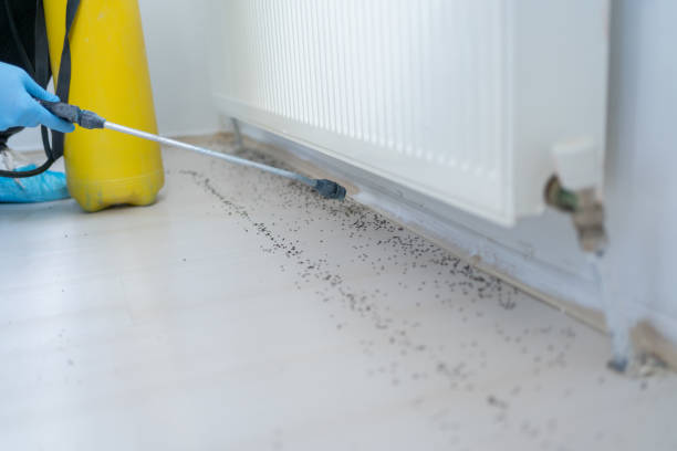 Pest Control Cost in Center Point, AL
